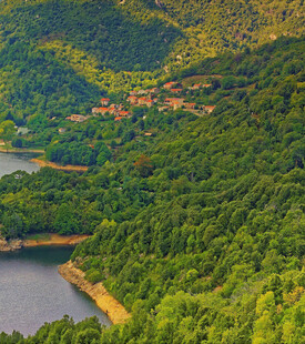 青山绿水间的村落美景