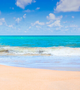 美丽的热带海滩风光