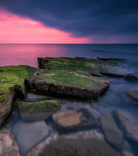 海边暮色中的苔藓岩石景观