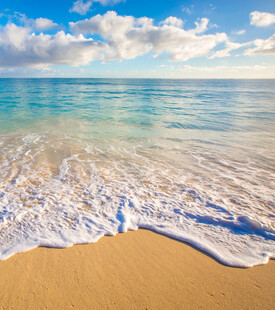 美丽海滨沙滩海浪与蓝天