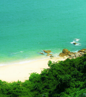 碧海白沙旁的葱郁海岸