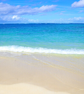 美丽海滨沙滩海景风光