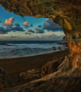 海边树洞外的美丽景致