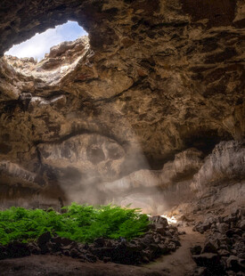 洞穴内的绿植与天光景象