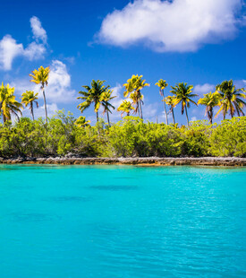 热带海岛碧蓝海水与椰林