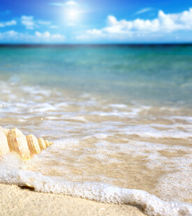 海边美景海浪与贝壳相伴
