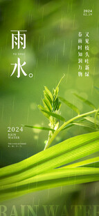 清新雨水下的嫩绿植物