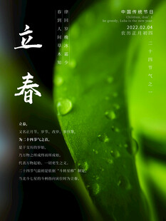 立春时节绿叶露珠景象