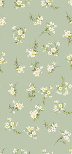 清新小雏菊花卉图案背景