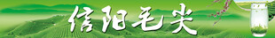 信阳毛尖海报