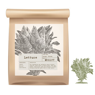 蔬菜包装设计 生菜