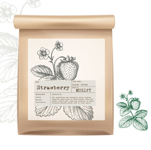 水果包装设计 草莓