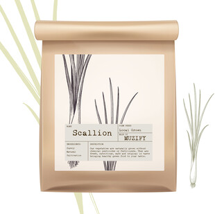 蔬菜包装设计 葱