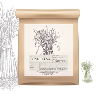 蔬菜包装设计 葱