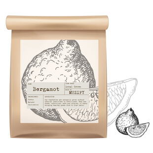 水果包装设计 佛手柑橙