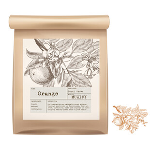 水果包装设计 橘子