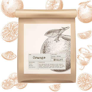 水果包装设计 橘子