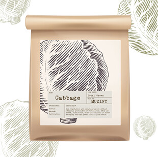 蔬菜包装设计 卷心菜