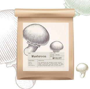蔬菜包装设计 蘑菇