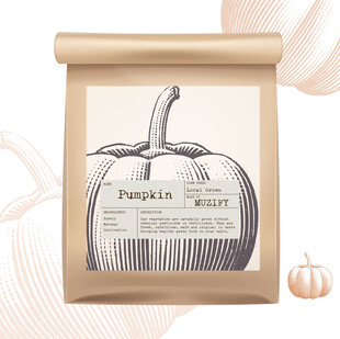 蔬菜包装设计 南瓜