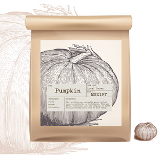 蔬菜包装设计 南瓜