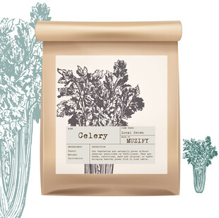 蔬菜包装设计 芹菜