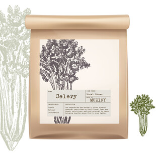 蔬菜包装设计 芹菜