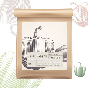 蔬菜包装设计 灯椒