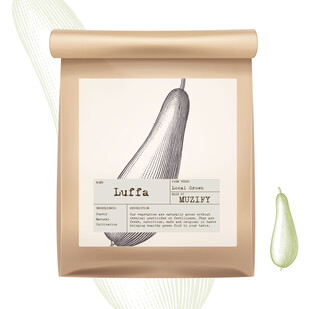 蔬菜包装设计 丝瓜