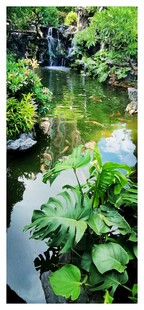 园林水景