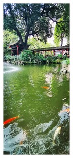 广州庭院