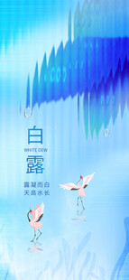 白露节气海报