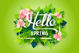 你好春天花卉绿叶背景图