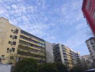 城市中的多层居民楼