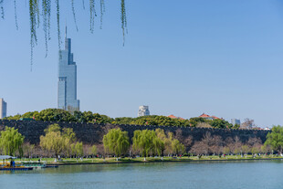 从玄武湖眺望南京紫峰大厦