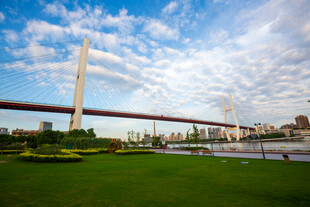 上海南浦大桥和城市滨江公园绿地