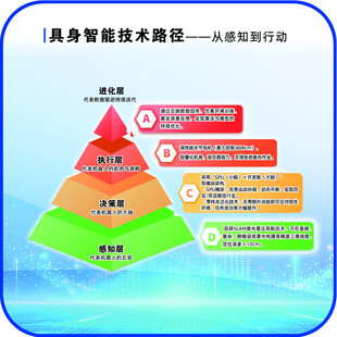 具身智能技术路径金字塔