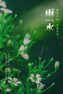 雨水海报 