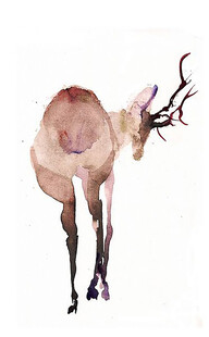 水彩画中的优雅驯鹿