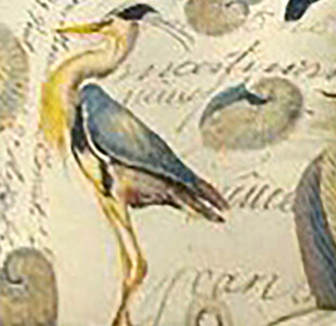 复古风鸟类插画图案