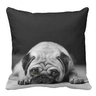 趴着的哈巴狗抱枕