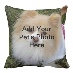 宠物照片定制抱枕