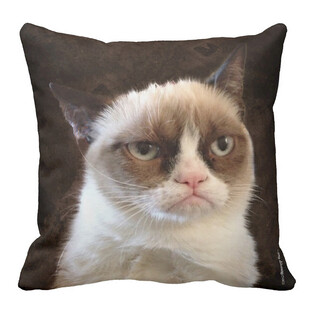 不爽猫图案抱枕