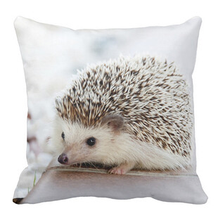 刺猬图案抱枕