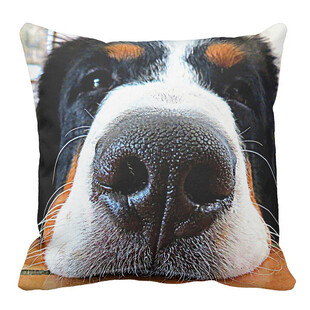 狗狗脸部图案抱枕
