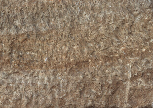 粗糙石质纹理特写