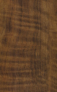 深棕色木纹纹理特写