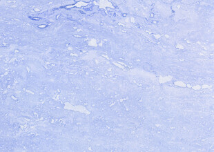 淡蓝色纹理背景