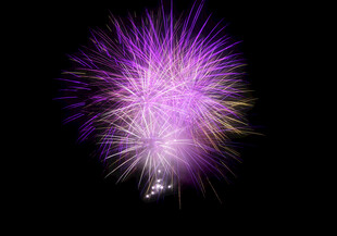 绚丽紫色烟花绽放