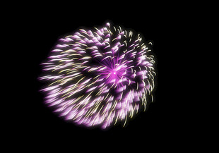 绚丽紫色烟花绽放